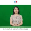 1 copy 8 Phông Nền Vải Mềm Mịn kích thước lớn 3x2m