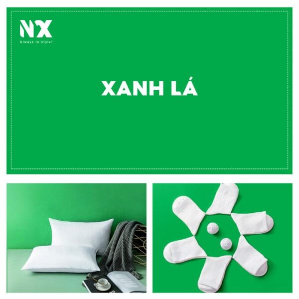 Phông nền giấy Studio chụp ảnh toàn thân kích thước lớn 2,72x10M