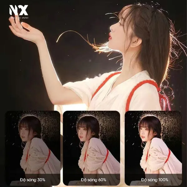 FSD 168 copy 9 Đèn Spotlight FSD-168 ánh sáng hội tụ, chiếu sáng chụp ảnh, quay phim với nhiều chế độ ánh sáng